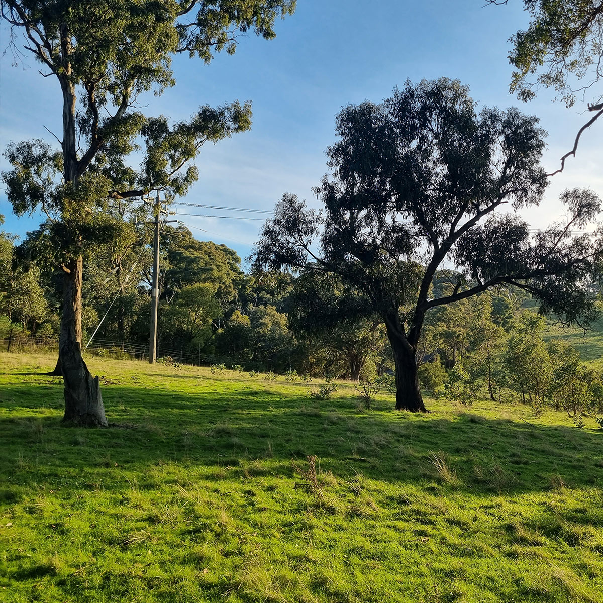 Description: Photo of a vacant residential block with temporary fence erected at the footpath. AS Planning are Town Planners in Victoria.