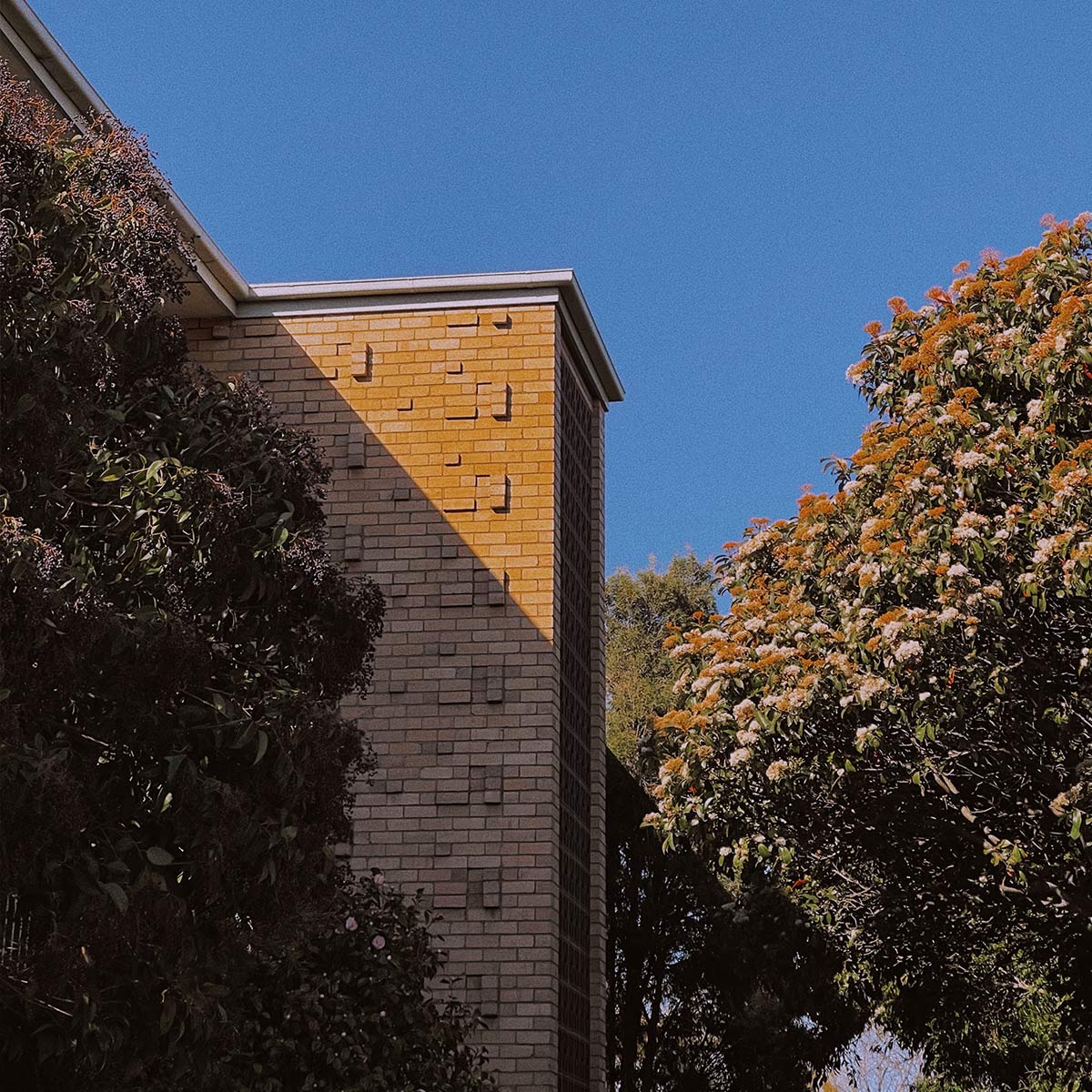 Description: Photo of a vacant residential block with temporary fence erected at the footpath. AS Planning are Town Planners in Victoria.